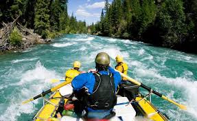 Activity Image
